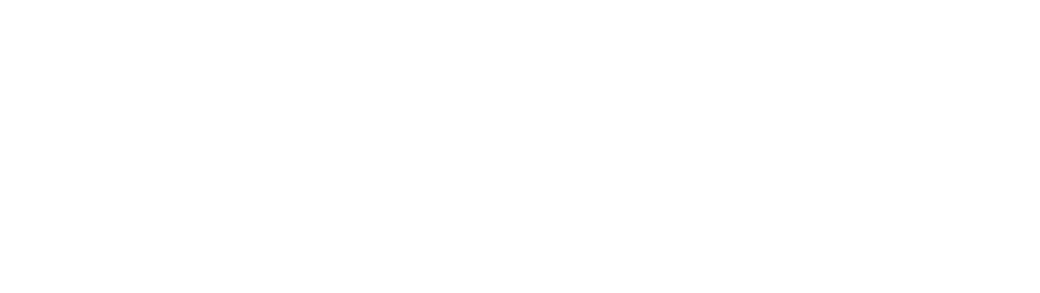 Major Sports Cruises
